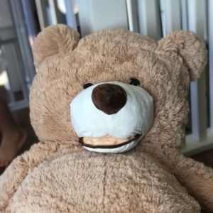 Meet your Posher, Maura